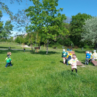 166-343909027_9013614342.jpg